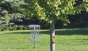 Disc Golf