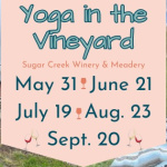 Yoga in the Vineyard
