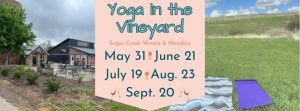 Yoga in the Vineyard