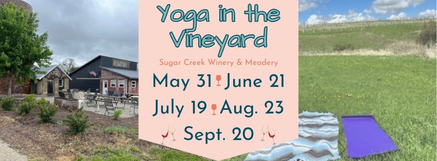 Yoga in the Vineyard