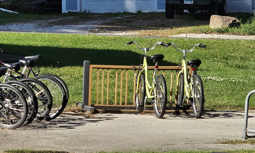 Bike Share Program