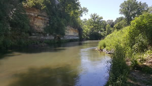 Root River