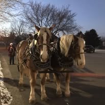 Upcoming Holiday Events in Harmony, Minnesota
